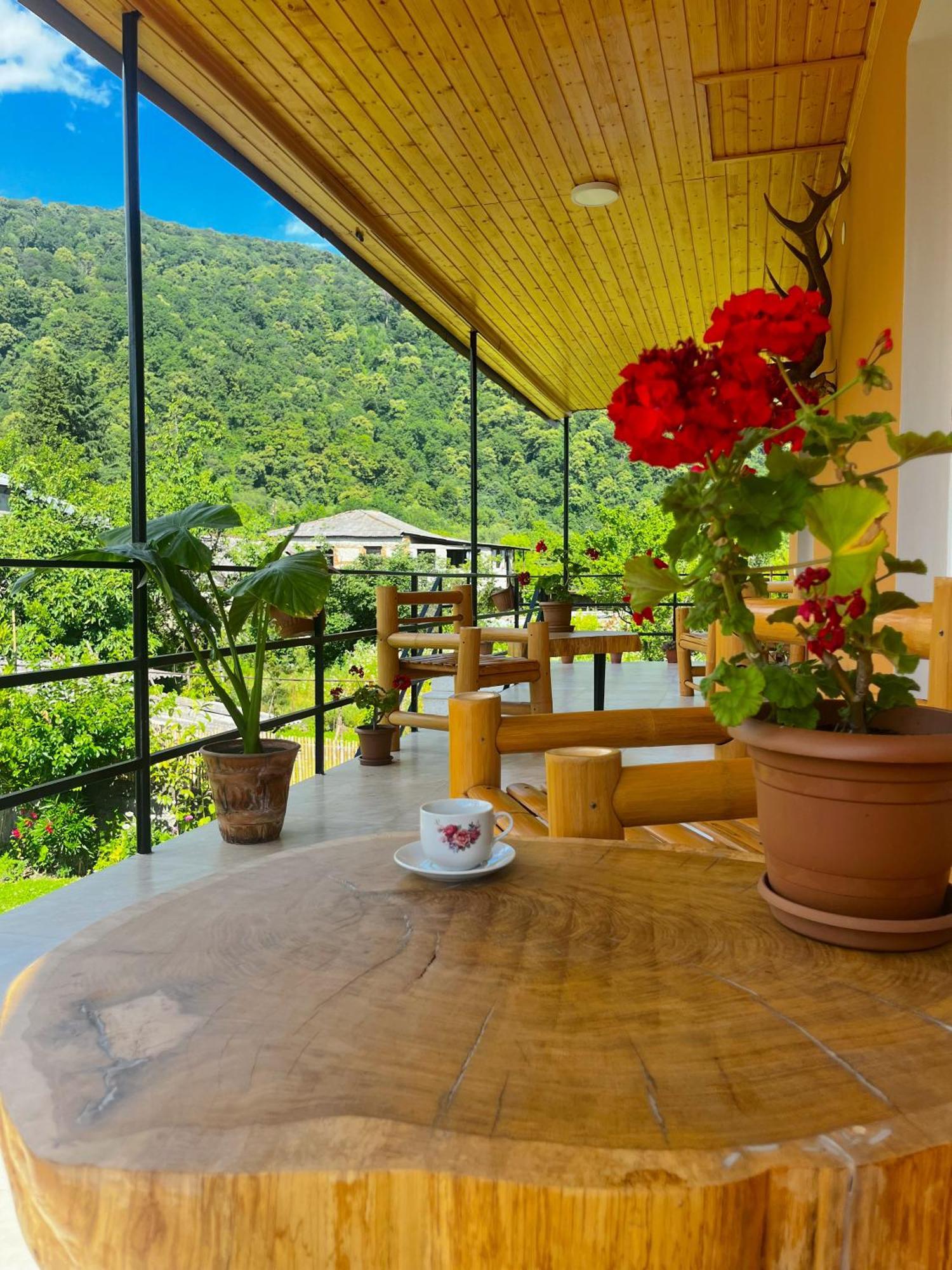 Mountain View Hotel Lagodekhi Exterior photo